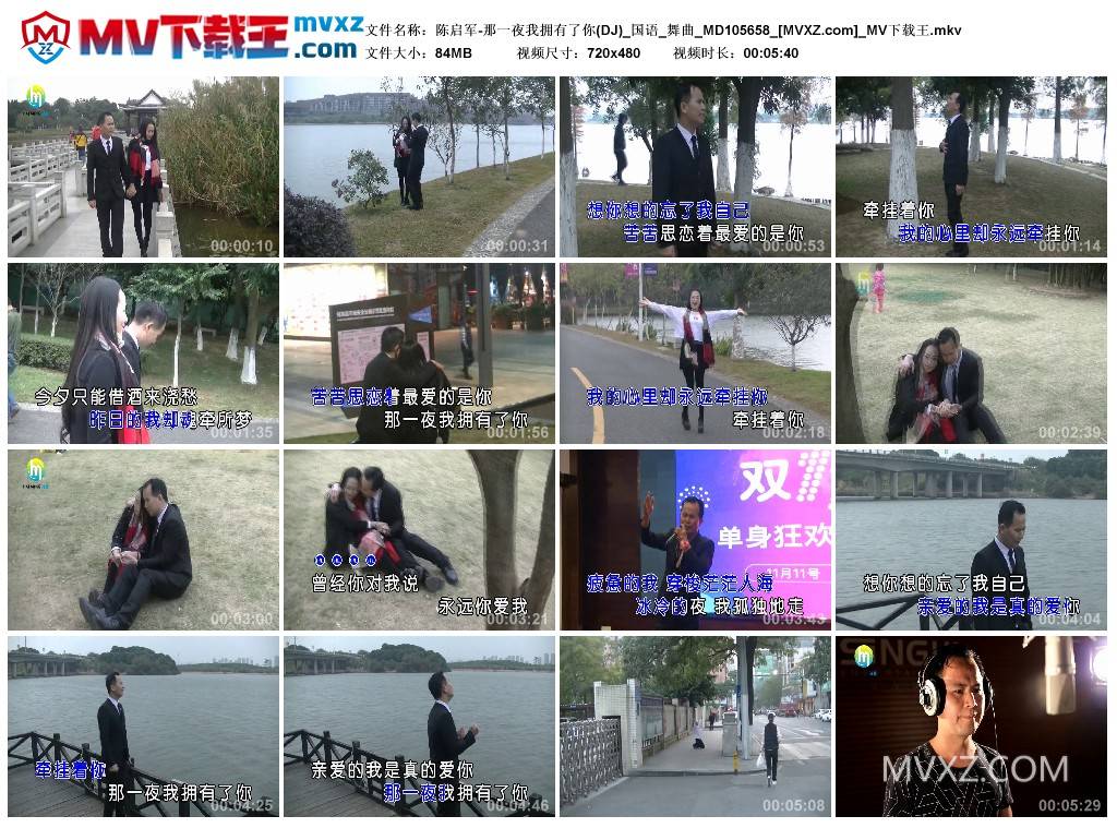 陈启军-那一夜我拥有了你(DJ)_国语_舞曲_MD105658